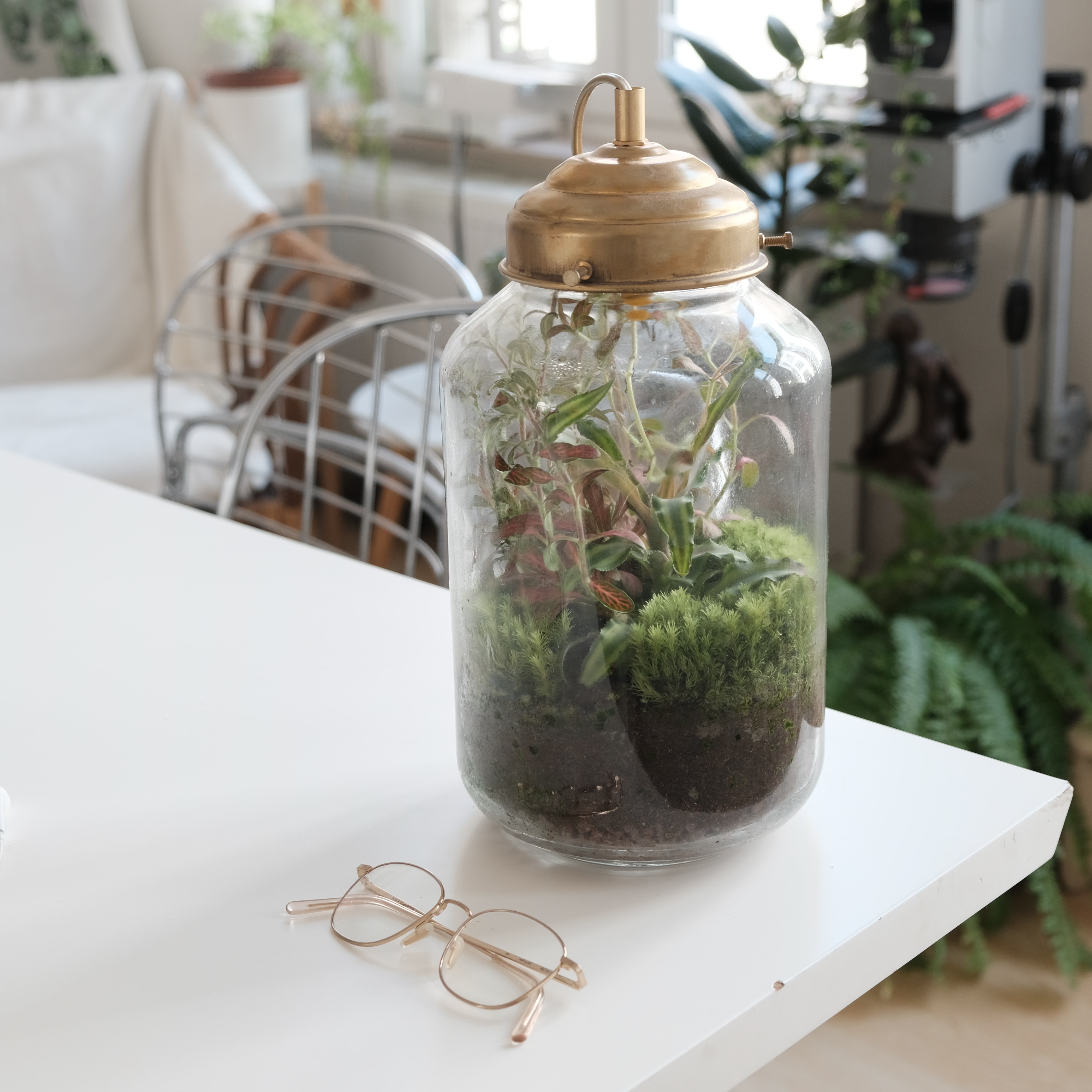 Closed Terrarium Planta