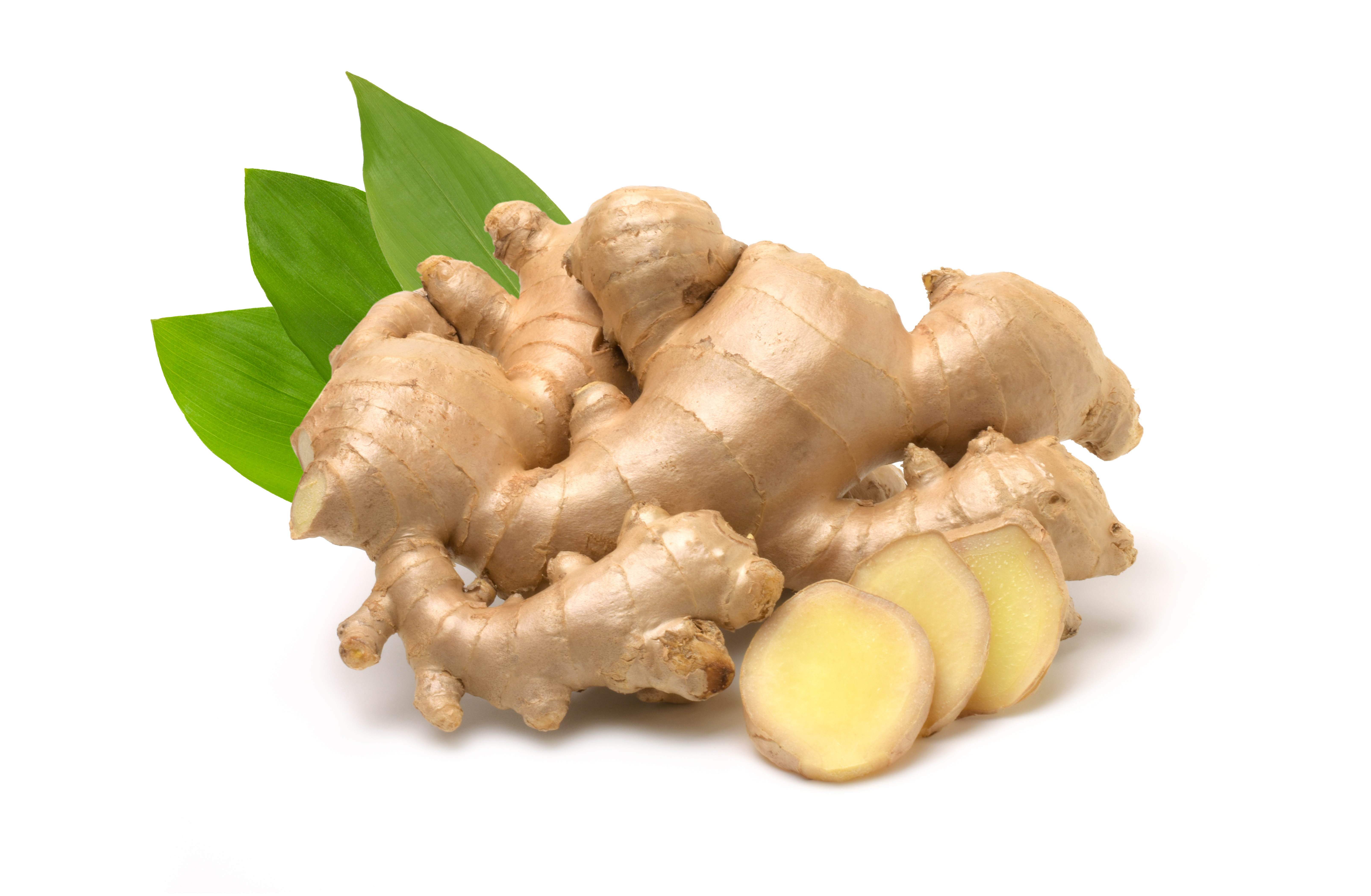 Ginger Root (Rhizomes)