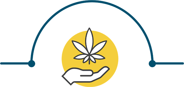 Image d’une main qui tient du cannabis séparant des paragraphes sur le cannabis médicinal. Illustration. Appareil mobile.