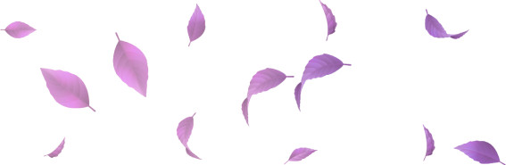Purple Leaves Left