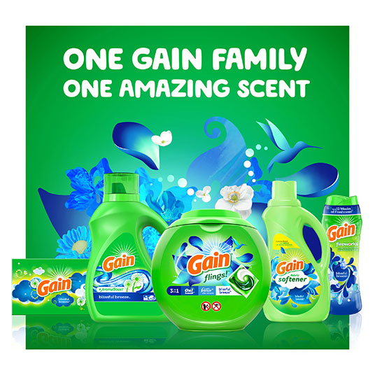 Blissful Breeze Fireworks In-Wash Scent Booster | Gain