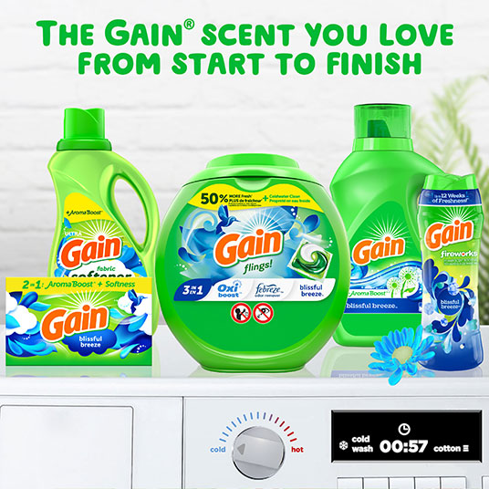 Blissful Breeze Flings Laundry Detergent | Gain