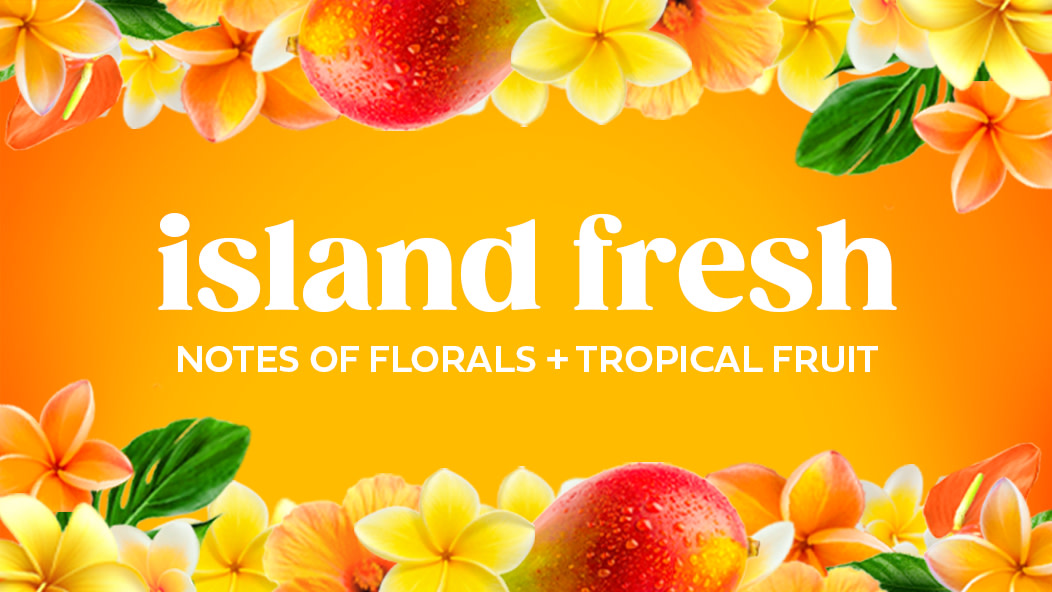 Gain Island Fresh Scent Experience Tile with mango and flowers