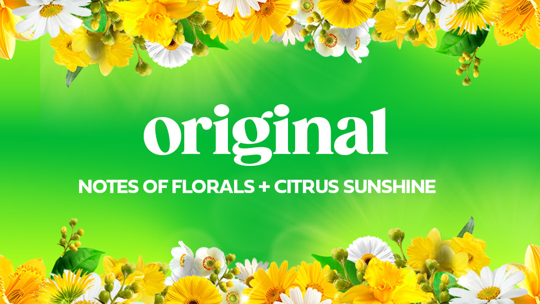 Gain Original Scent Experience tile with yellow and white flowers
