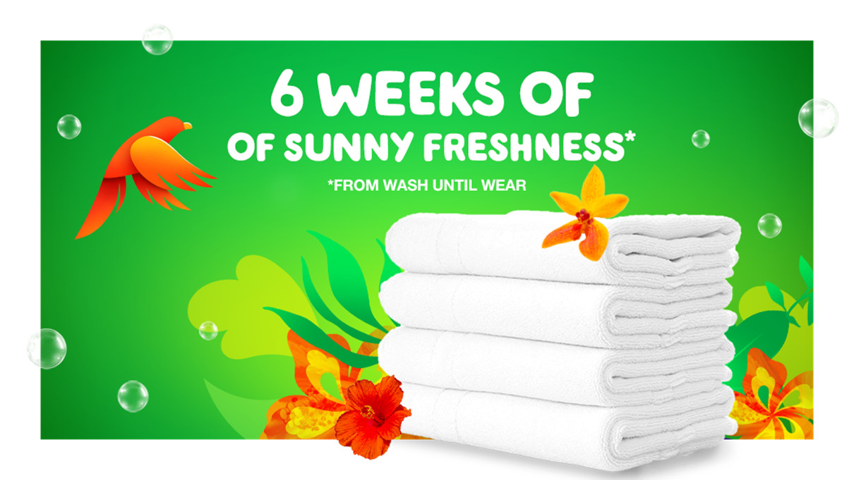 6 weeks of sunny freshness