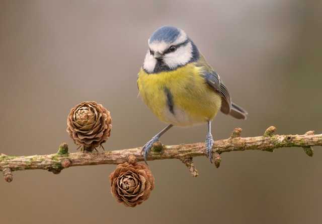 52708194512 214cf48780 b