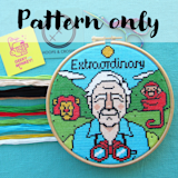View Extraordinary - Pattern Only product page