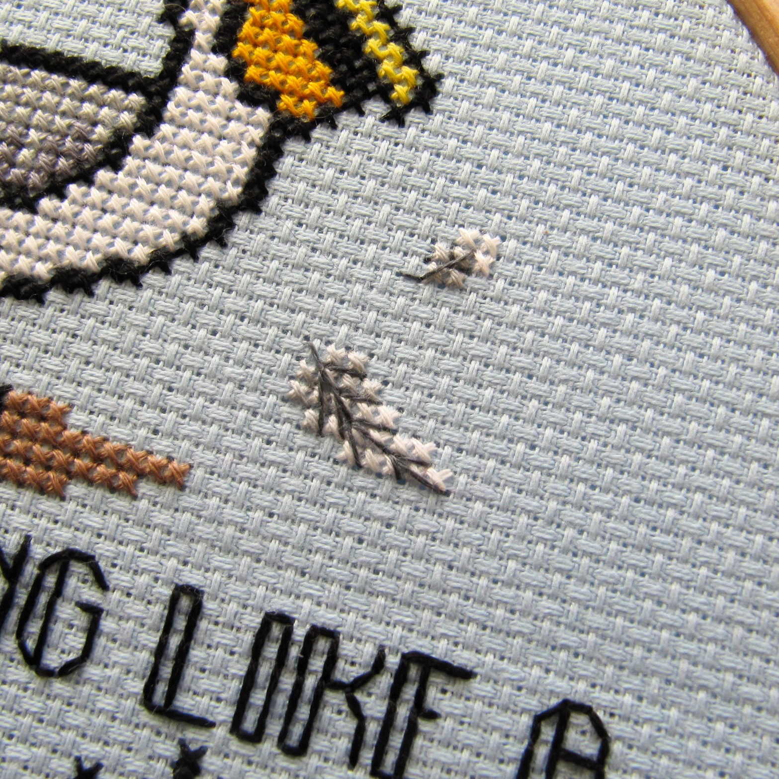 Product Image of Disgruntled Pelican - Pattern Only #3