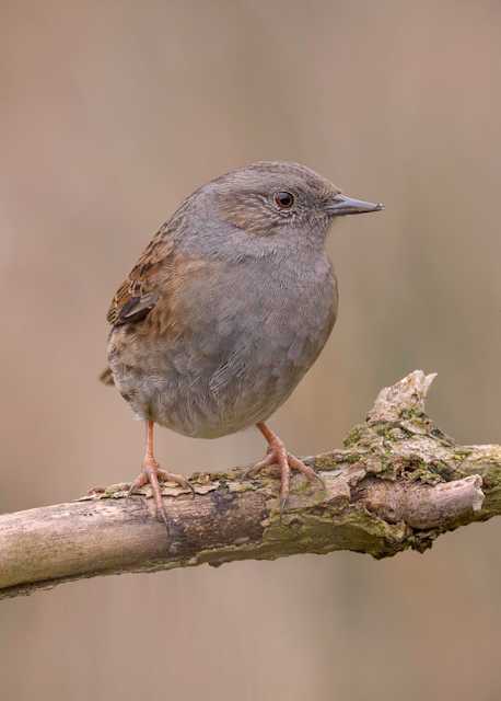 54300839453 f314a69c9f b