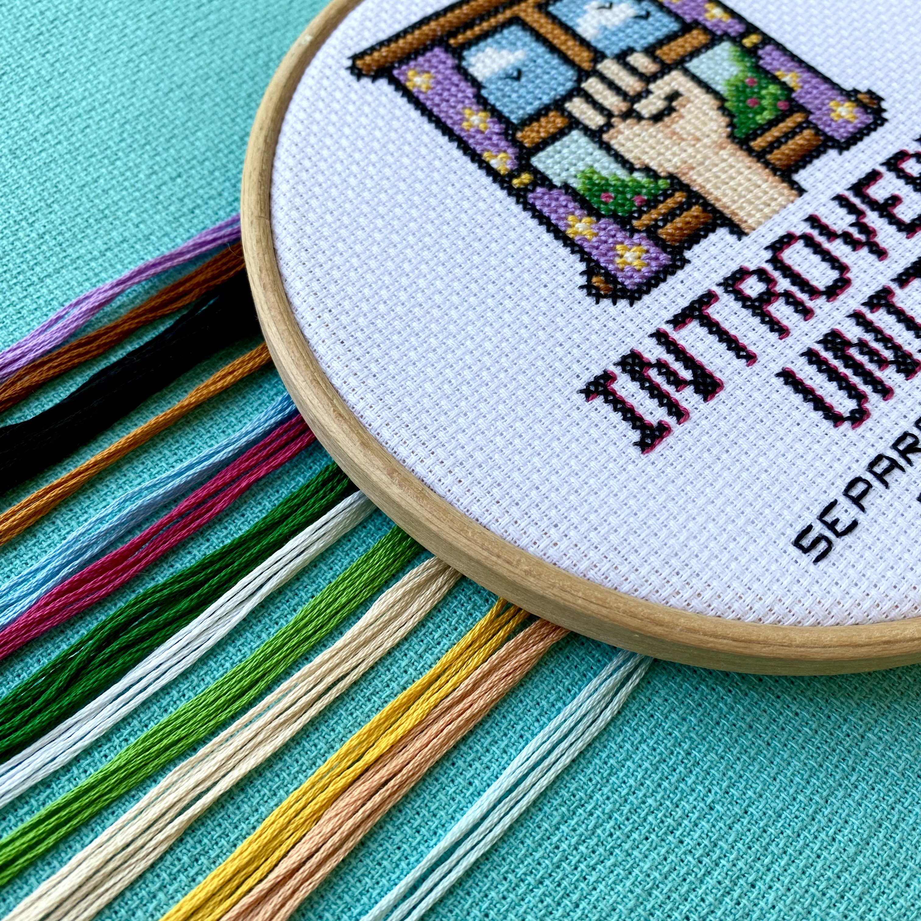 Product Image of Introverts Unite #5