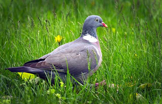 34426184822 983cd04563 b