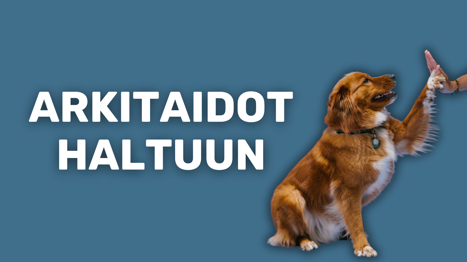 ARKI -Arkitottelevaisuus 