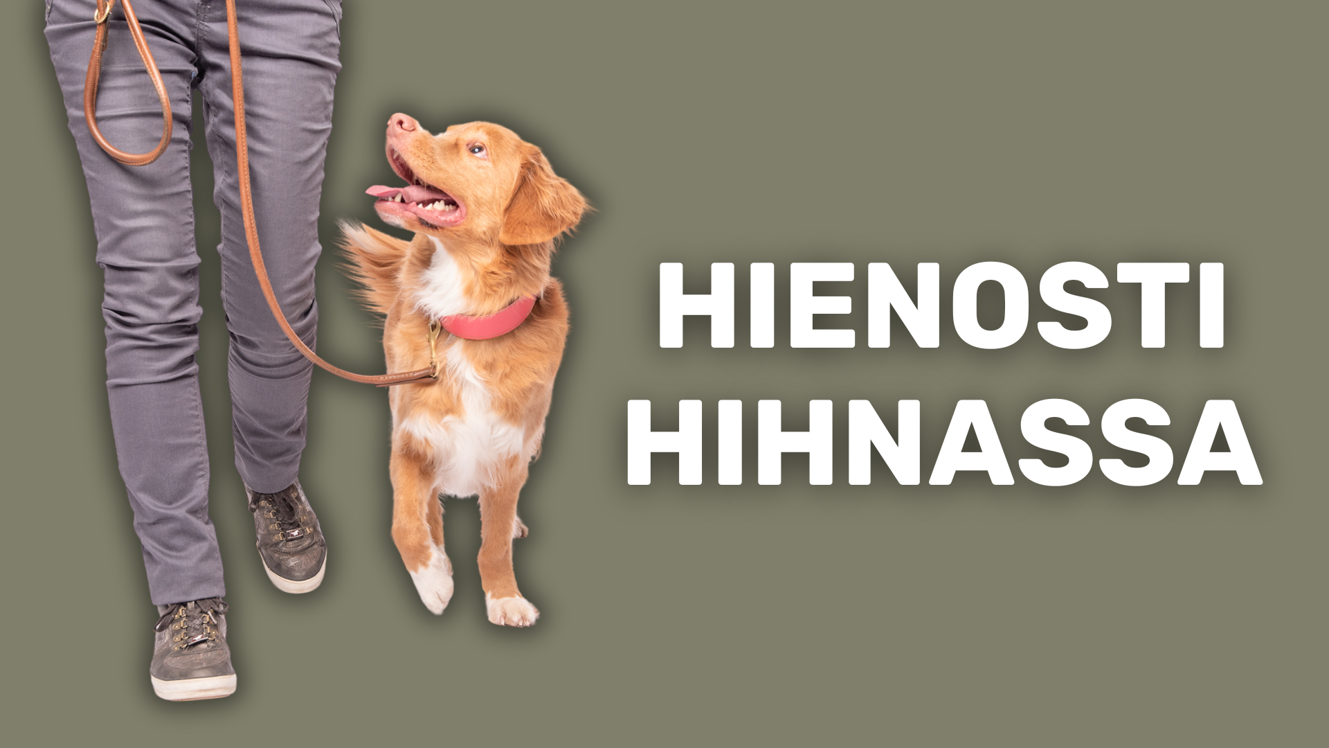 Hienosti Hihnassa 
