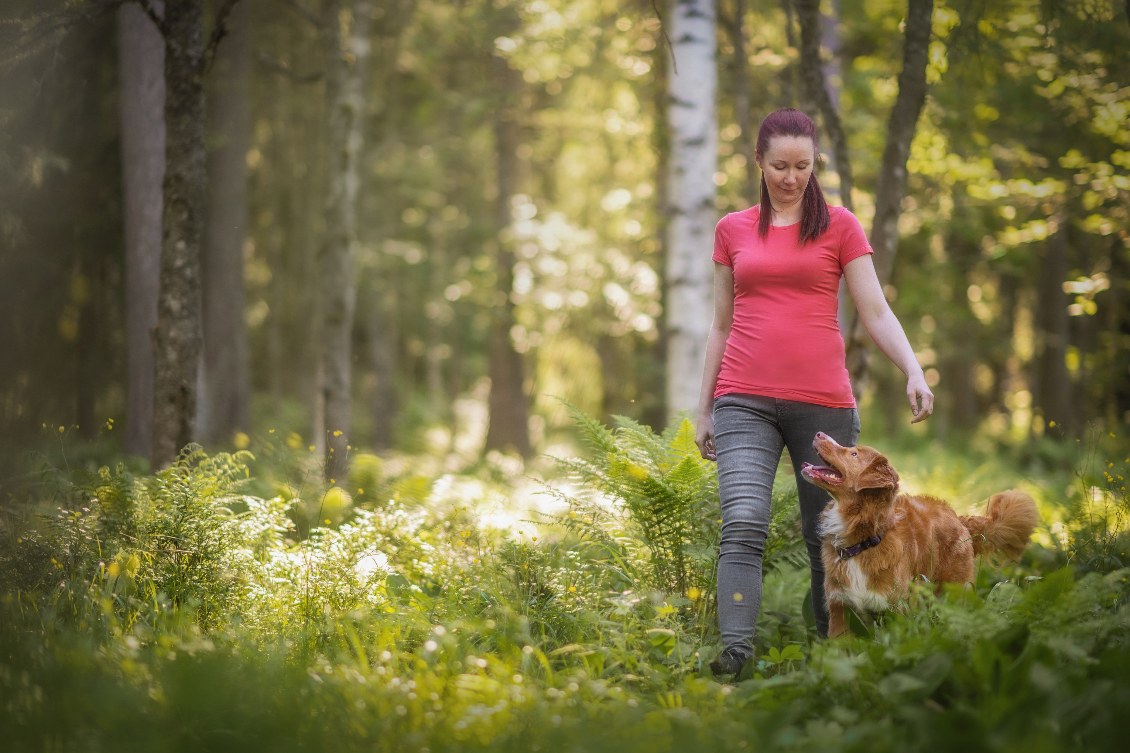 Apua koira-arjen haasteisiin