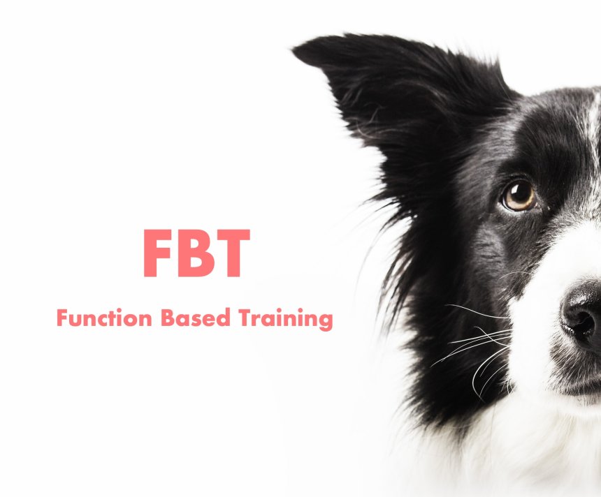 FBT - Function Based Training