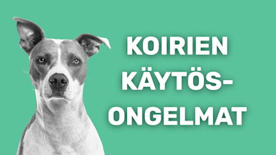 Koirien käyttäytymisongelmat