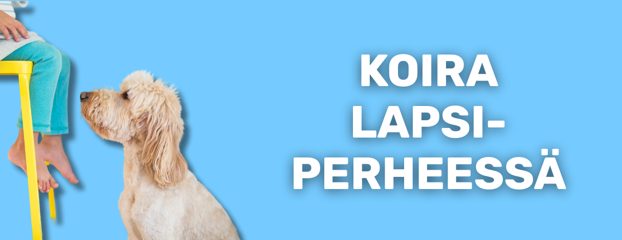 Koira lapsiperheessä