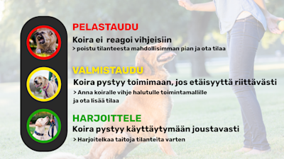 Miksi koiran koulutus yleensä epäonnistuu
