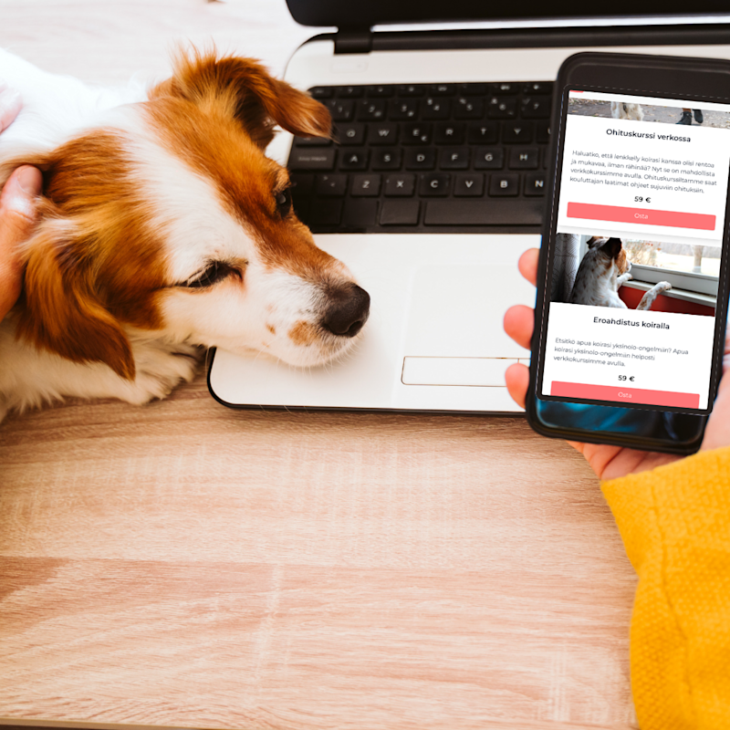 Apua koira-arjen haasteisiin