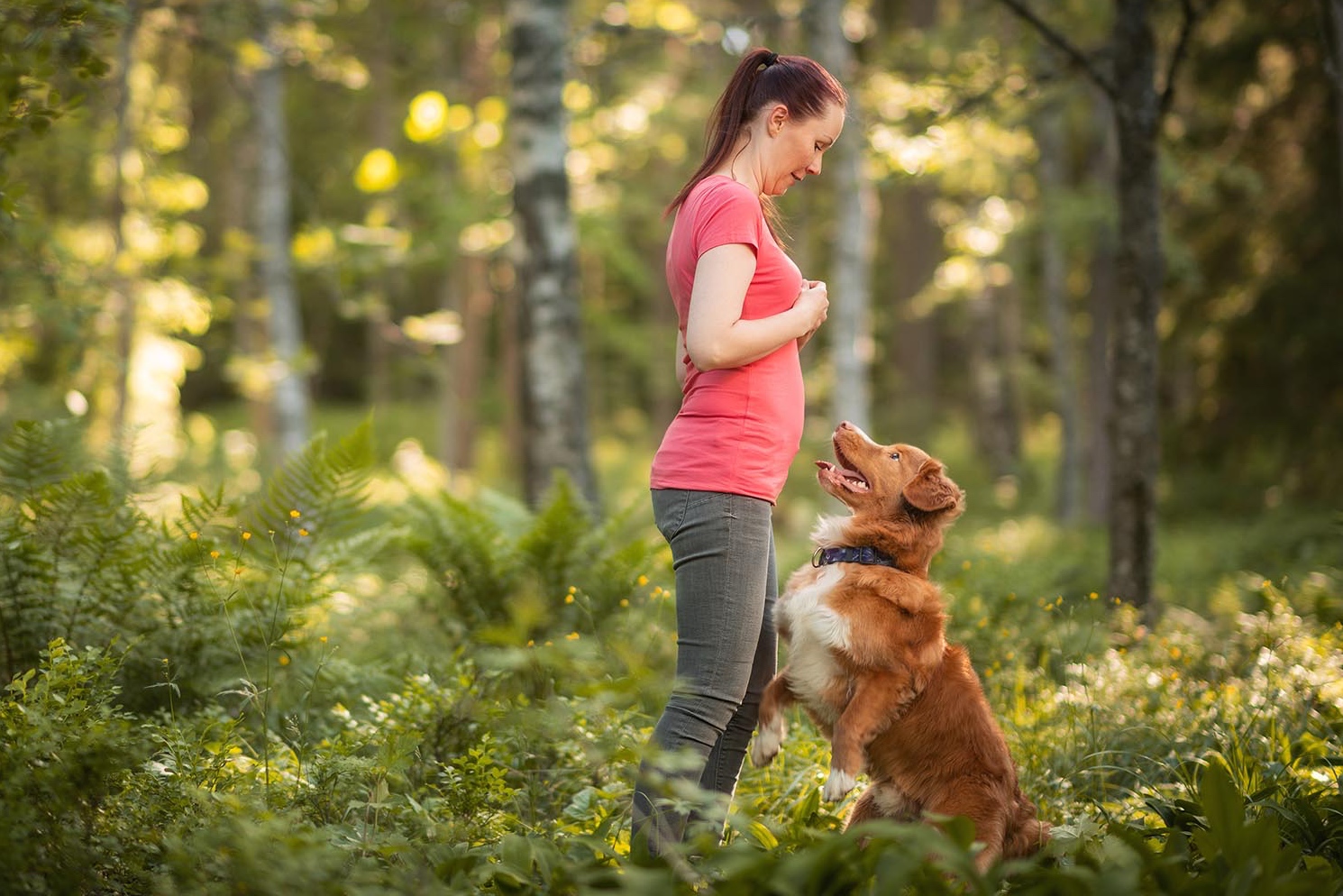 Kouluttajaksi Dogiolle?