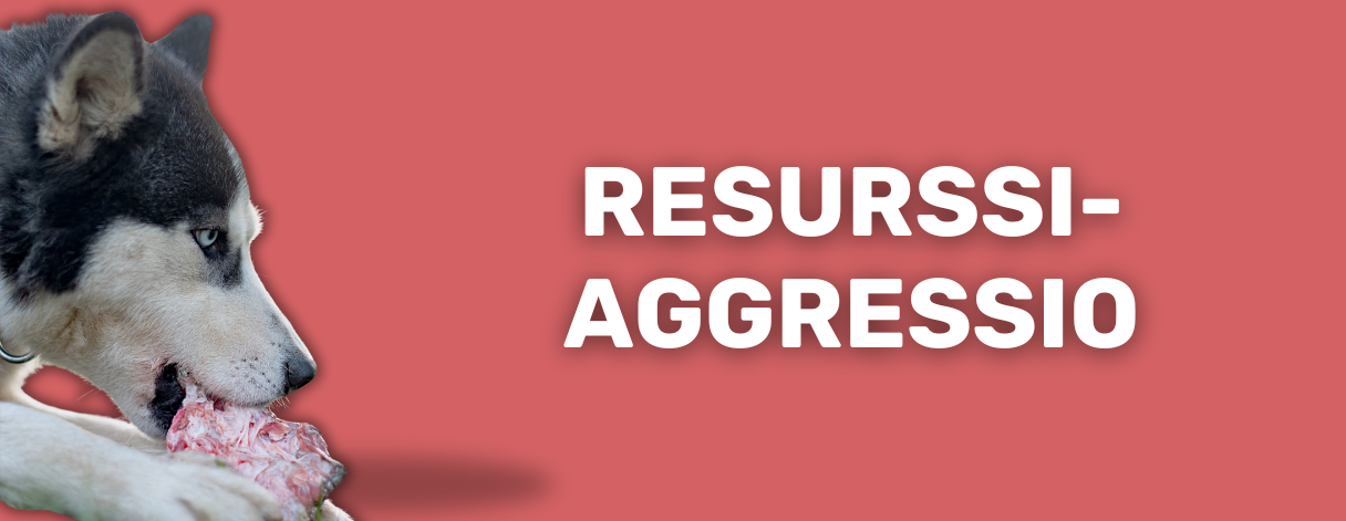 Resurssiaggressiivisuus