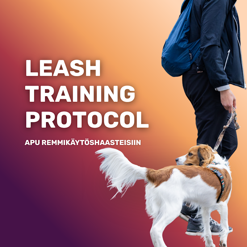 Katso ILMAINEN Leash Training Protocol -luento