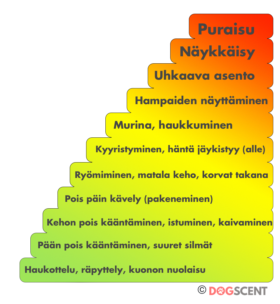 Resurssiaggressiivisuus osa 1: ihmiseen kohdistuva aggressio 