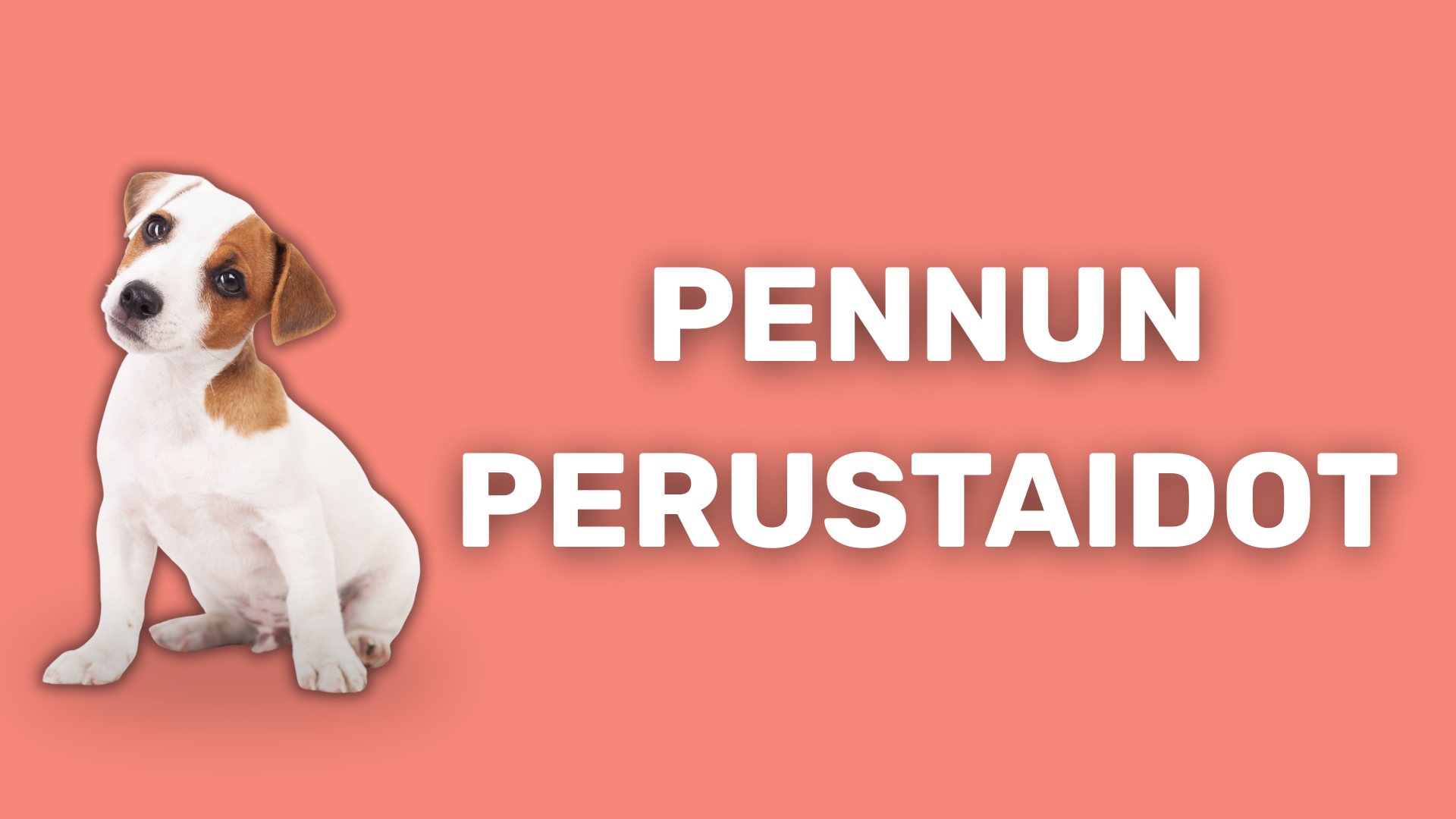 5 pennun perustaitoa