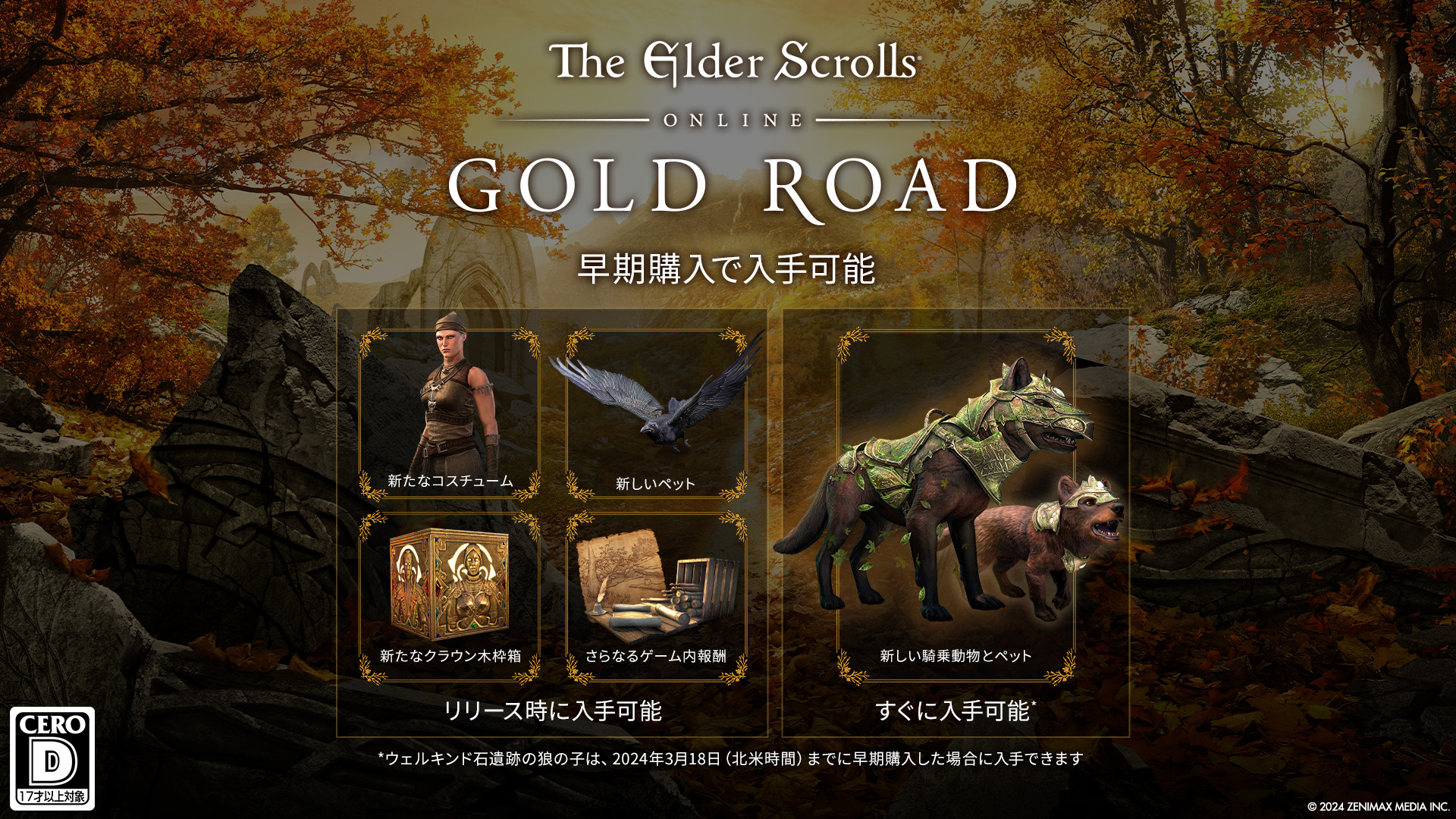 the Elder Scrolls ONLINE 初回限定 日本語版 the Elder Scrolls ONLINE 初回限定 日本語版