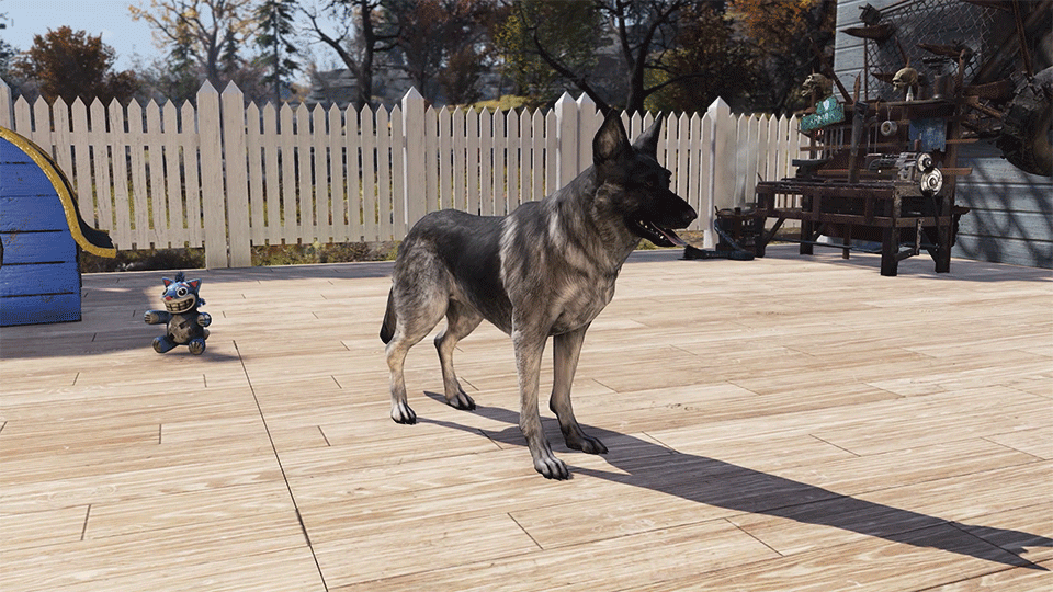 F76 S22 Shepard Dog