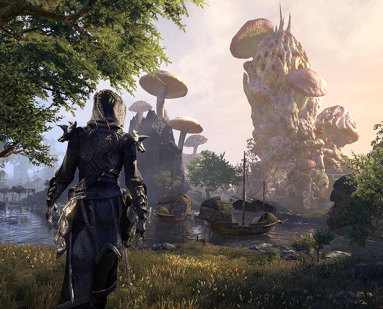 Can Elder Scrolls Online be played solo in 2023?