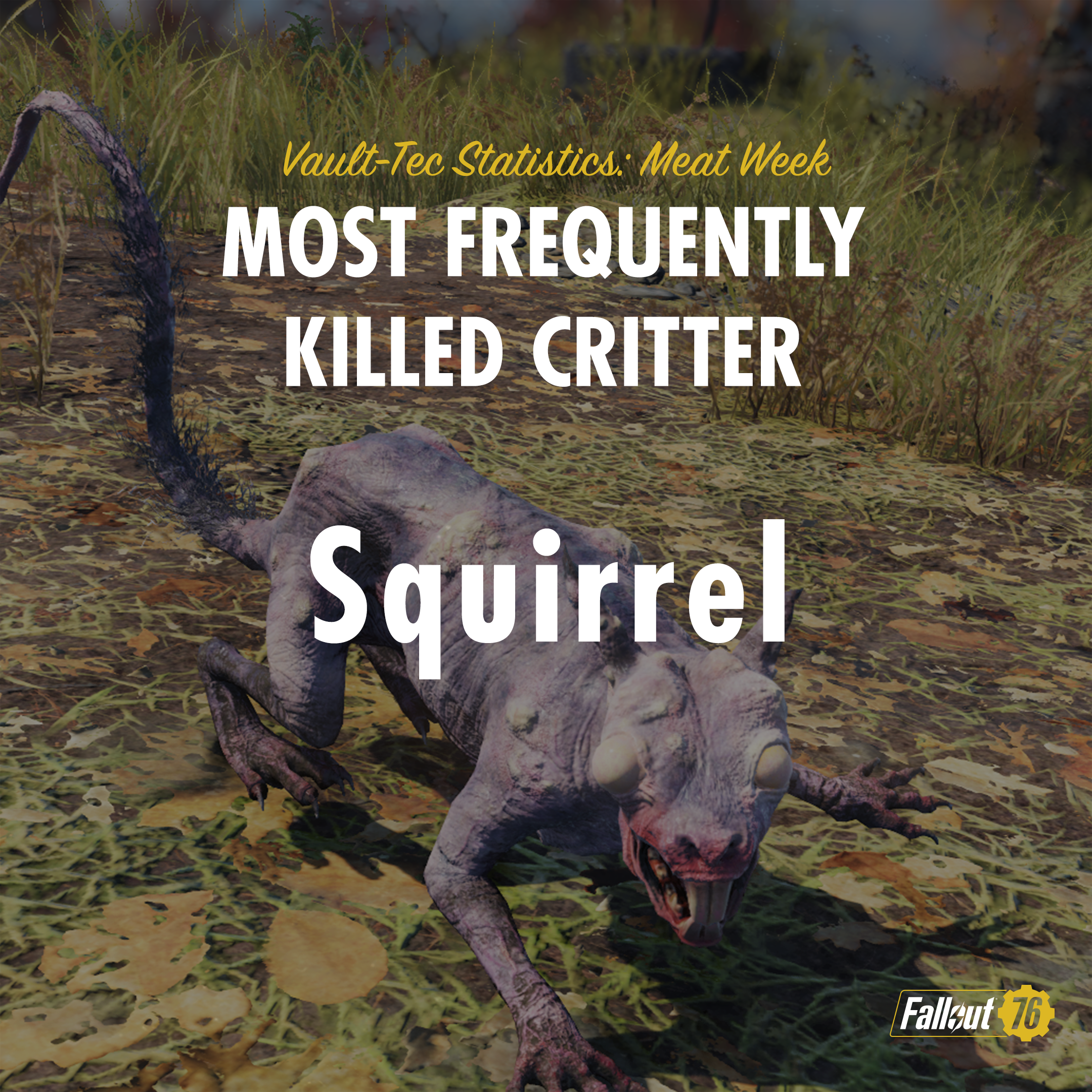 FO76_STATS_MeatWeek-Squirrel_v2.png