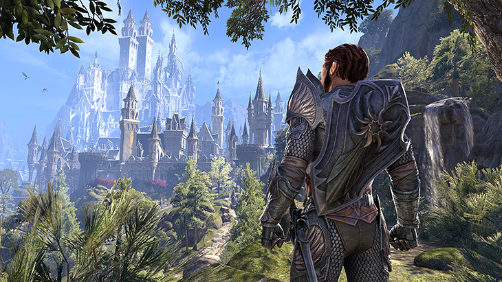 ESO Summerset Vista