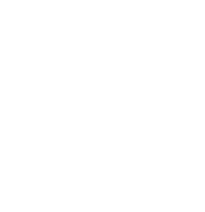 Blades_Logo_White.png