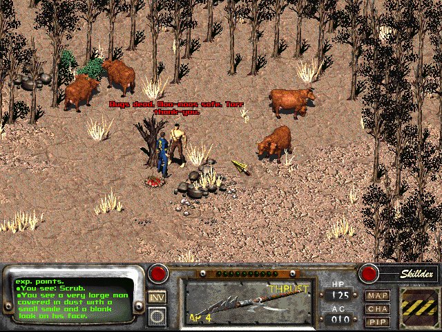 Fallout 2 - PC