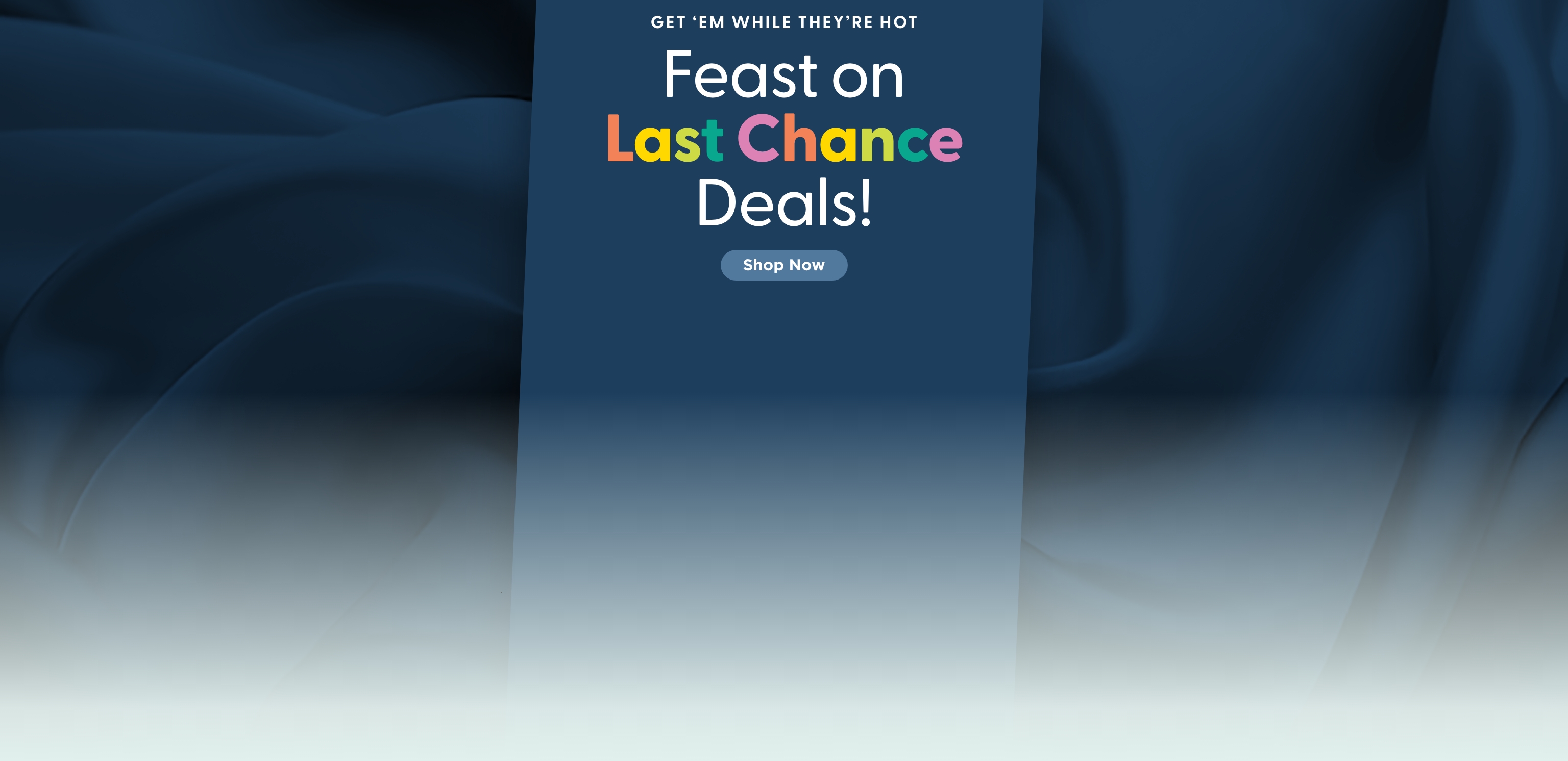 Last Chance Sale