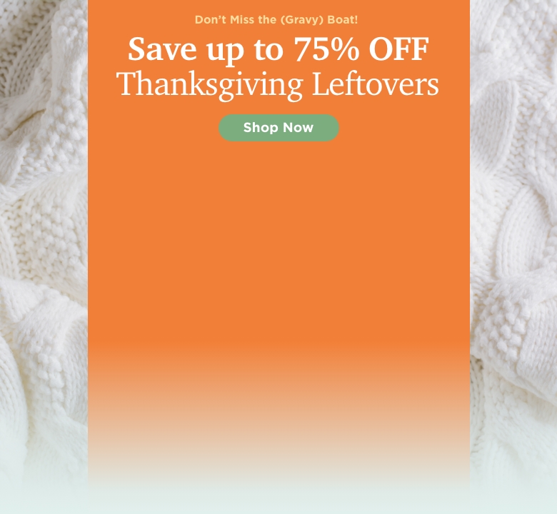 Thanksgiving Leftovers Sale