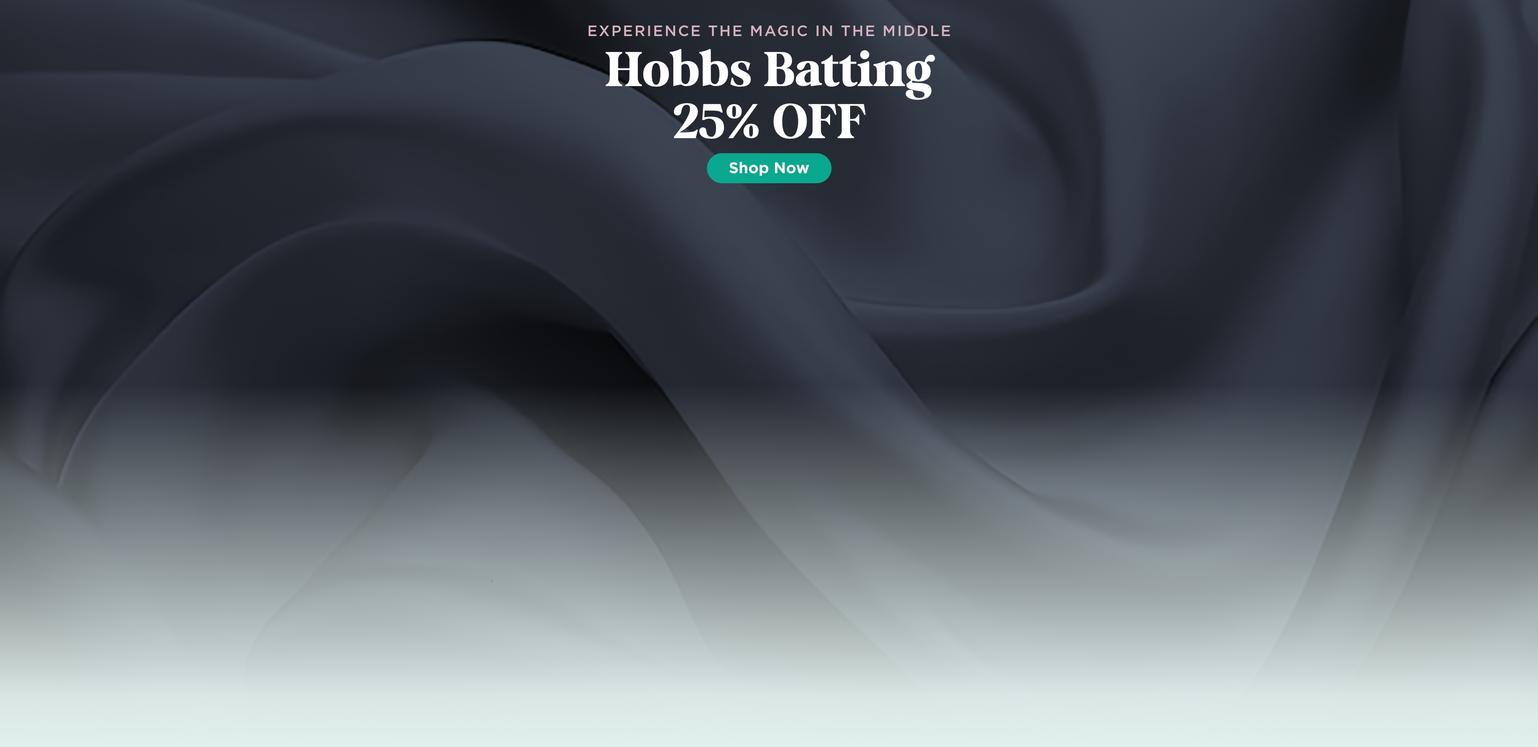 Hobbs Batting Sale