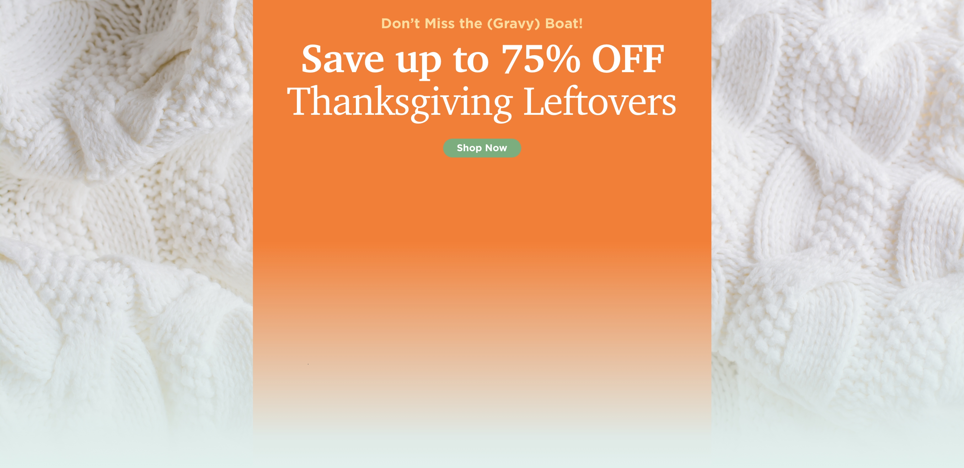 Thanksgiving Leftovers Sale