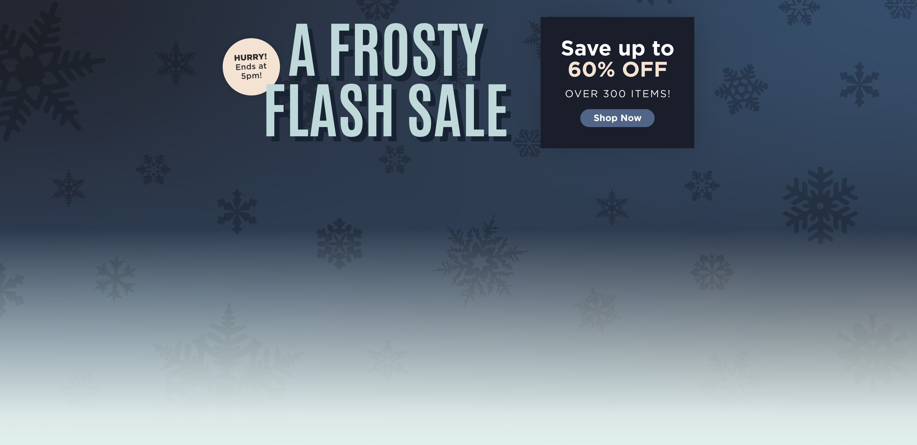 Flash Sale