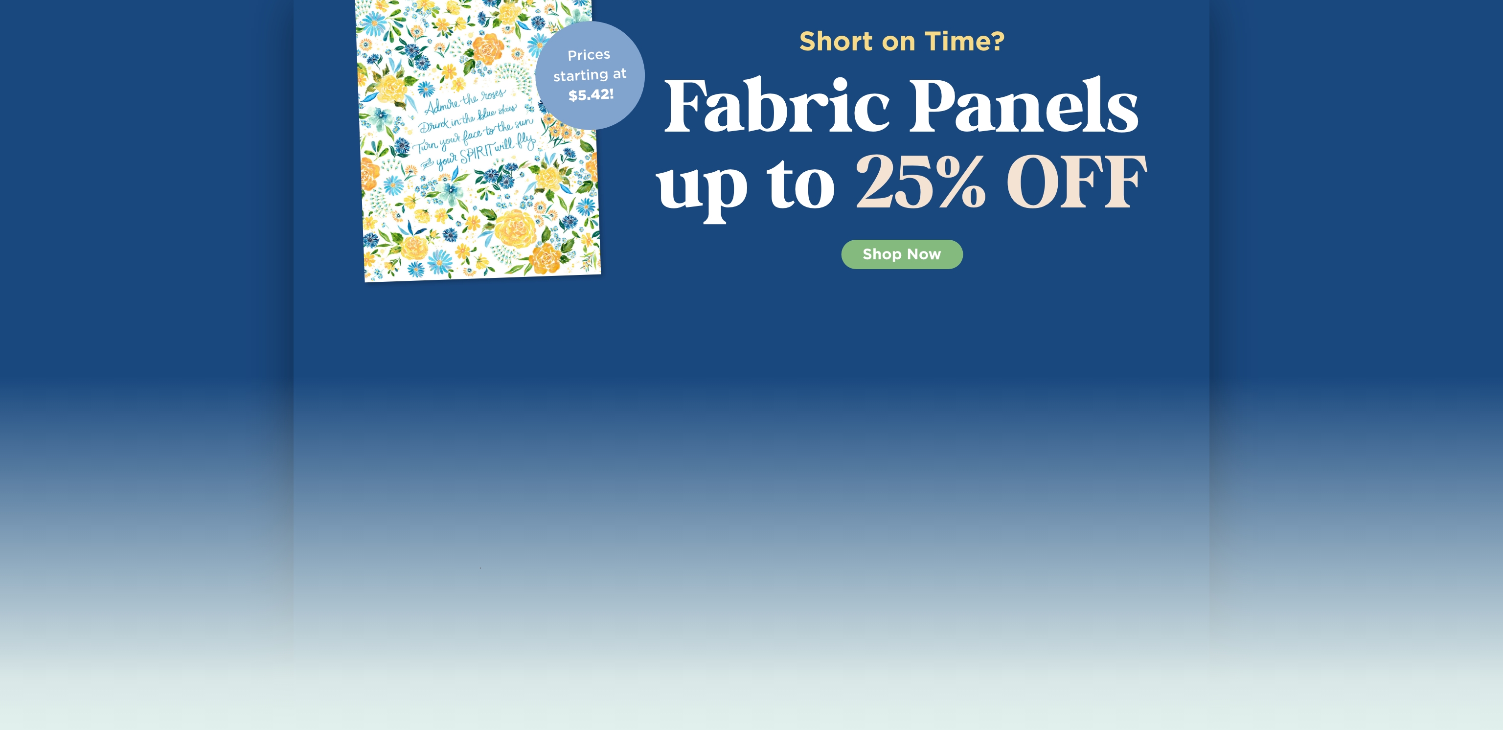 Panel Sale
