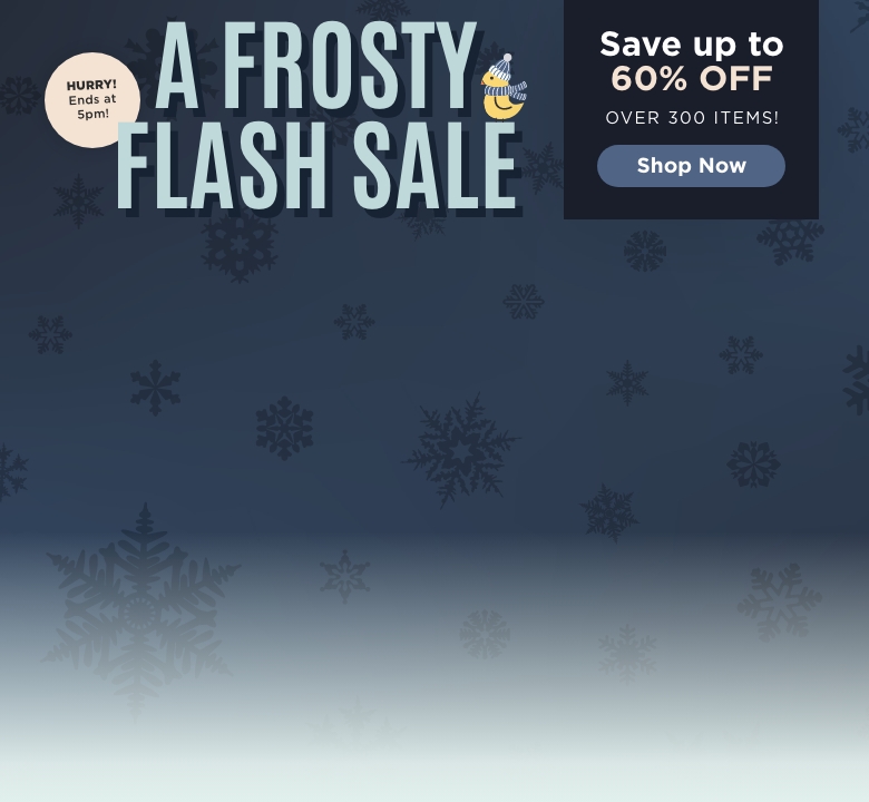 Flash Sale