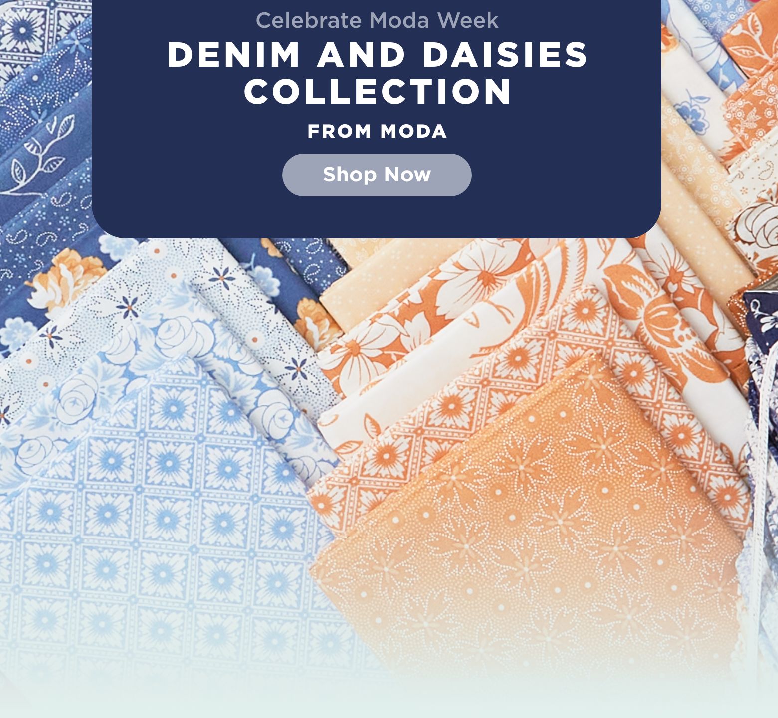 Denim & Daisies