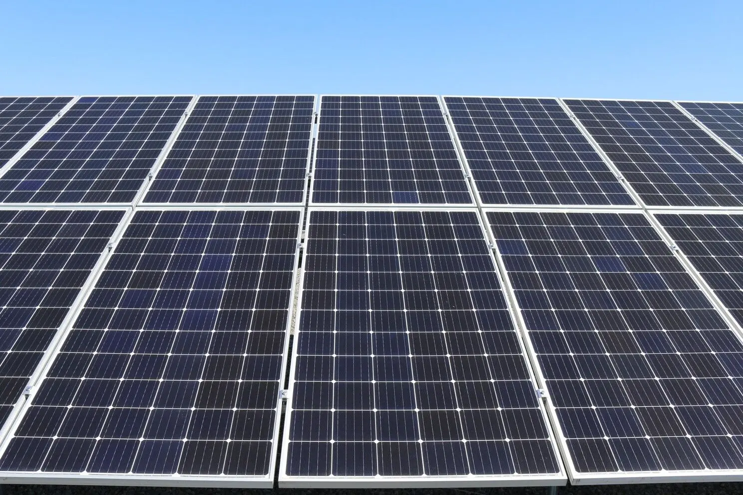 Carbon Offsetting: Guide to Credits & Best Practices — Alectro