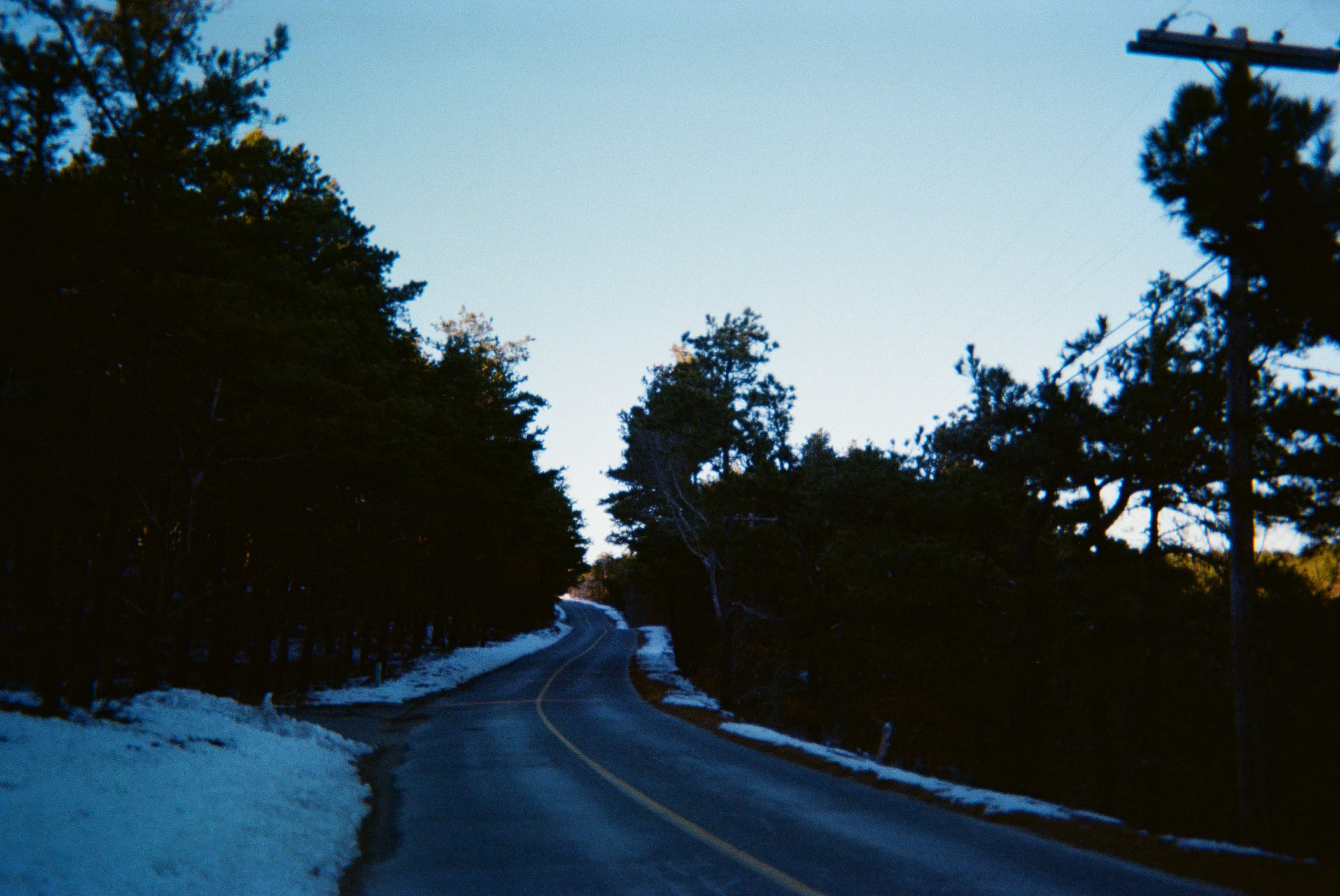 A road in winter with trees on the side.