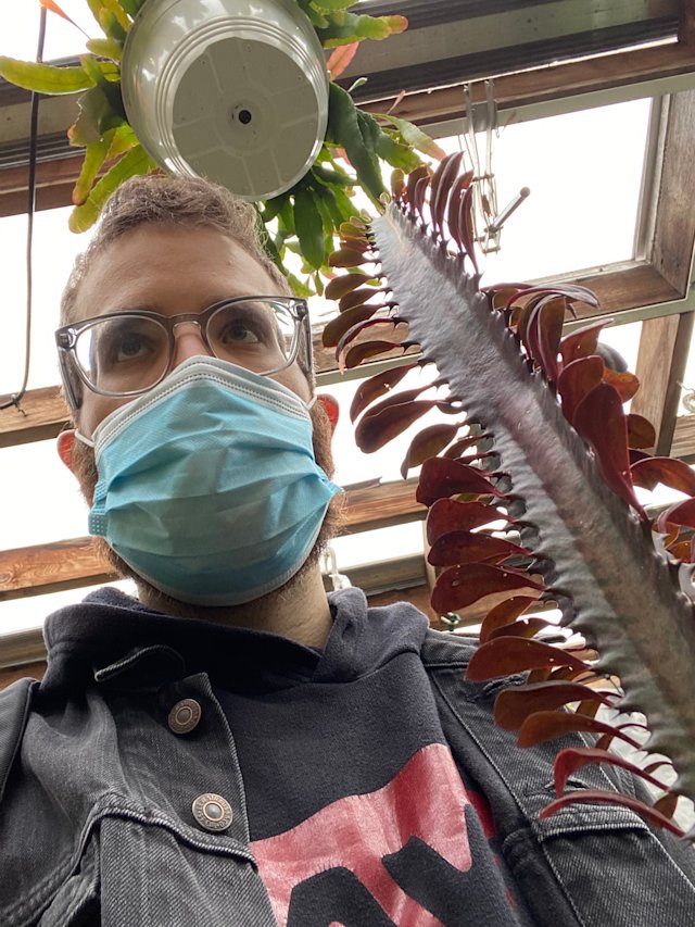 Person holding a potted cactus.