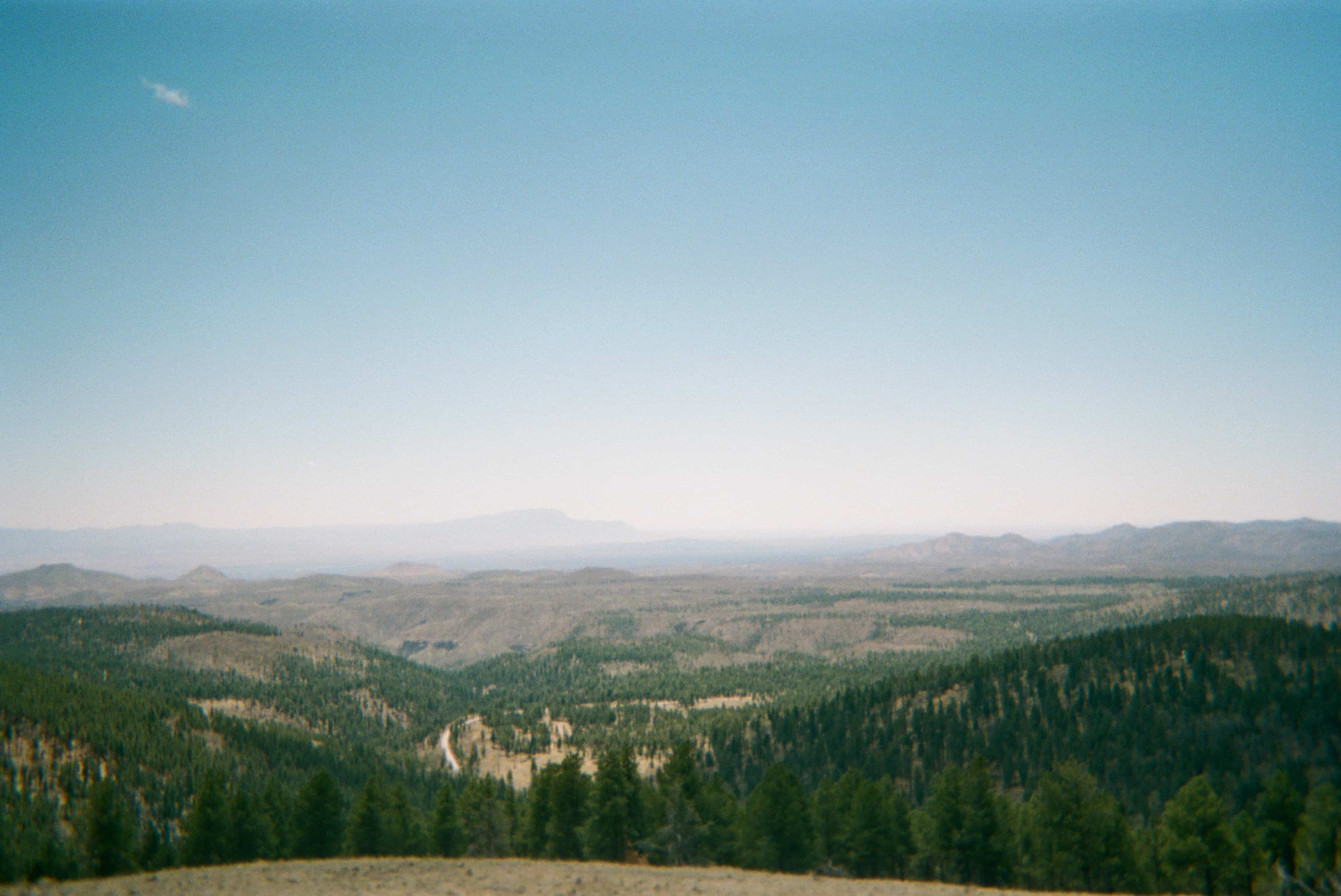 A landscape with trees and mountains.