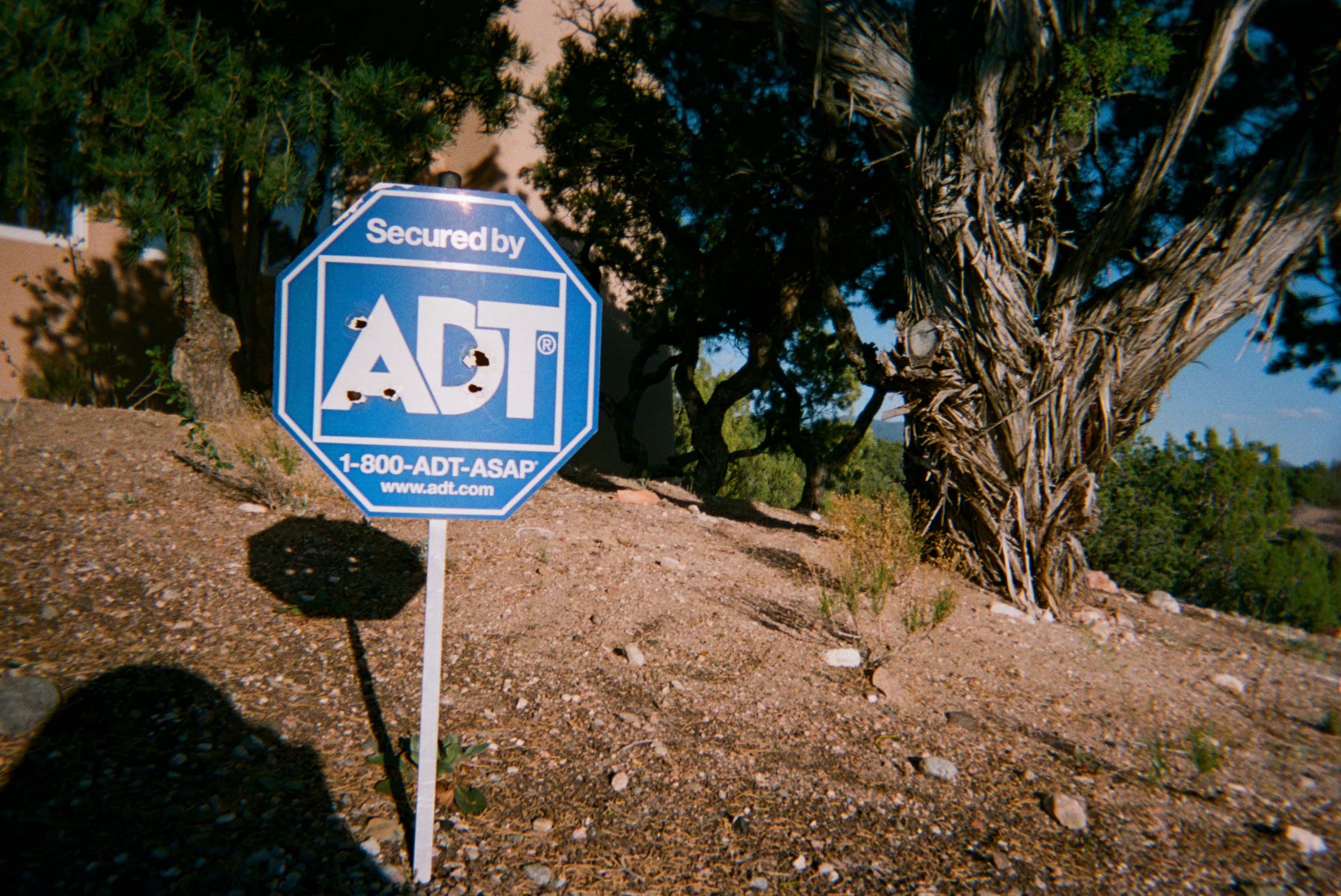 A sign shot full of bullet holes on a hill.