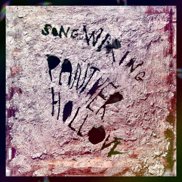 Songwiring by Panther Hollow.