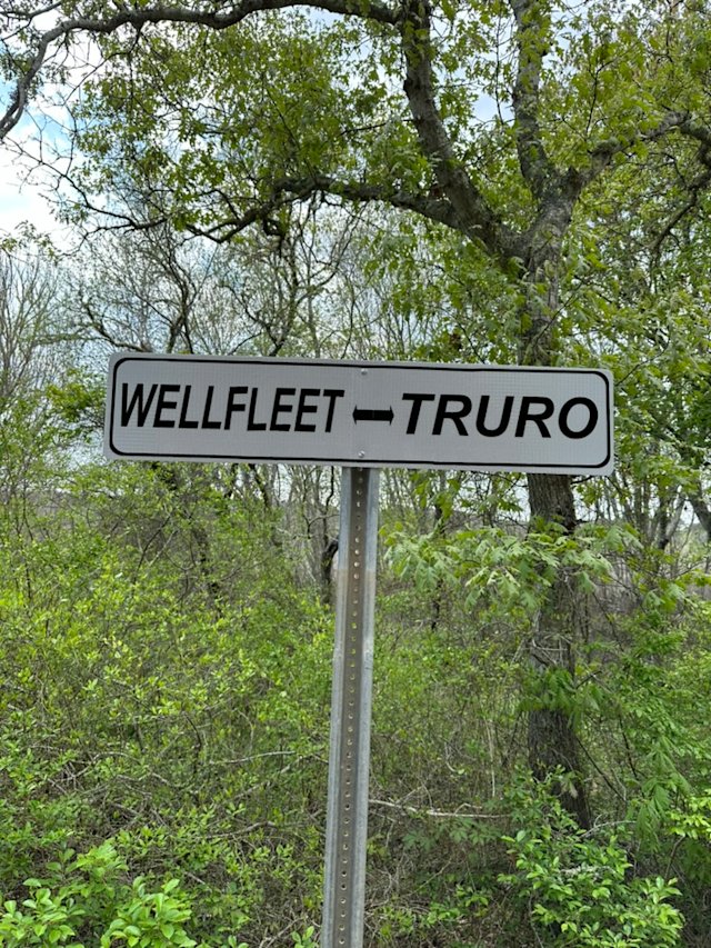 ABDAF41D-5C13-475F-B58C-1888996202C4 1 105 c.